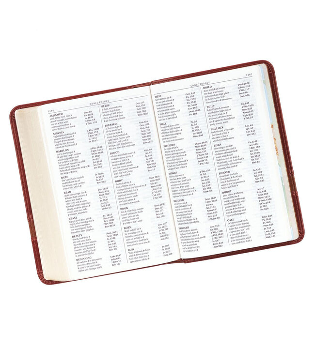 Brown Faux Leather Large Print Compact King James Version Bible