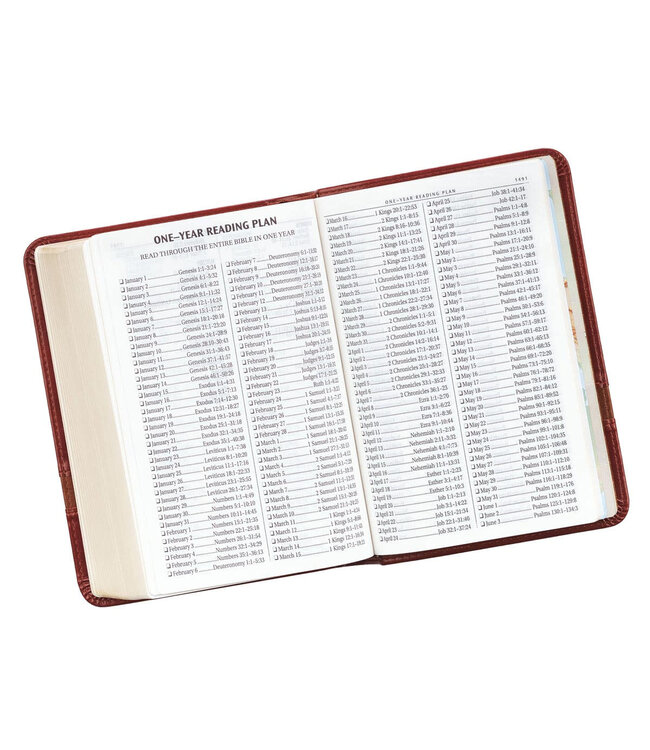 Brown Faux Leather Large Print Compact King James Version Bible