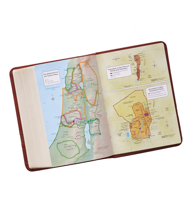 Brown Faux Leather Large Print Compact King James Version Bible