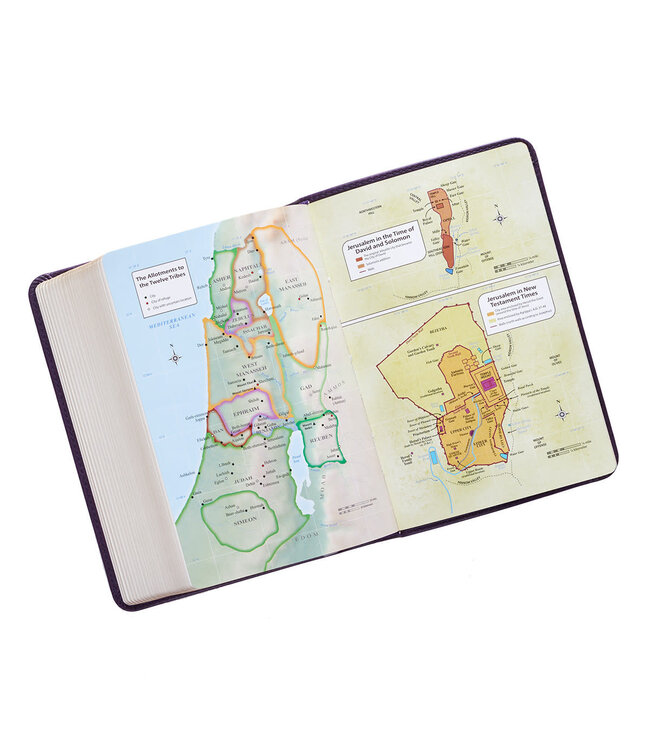 Purple Faux Leather Large Print Compact King James Version Bible