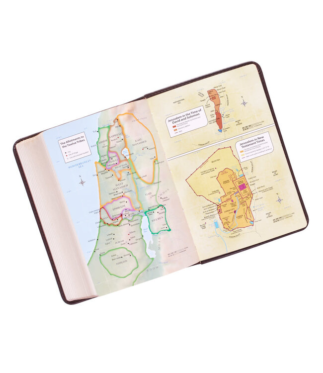 Dark Brown Faux Leather Large Print Compact King James Version Bible