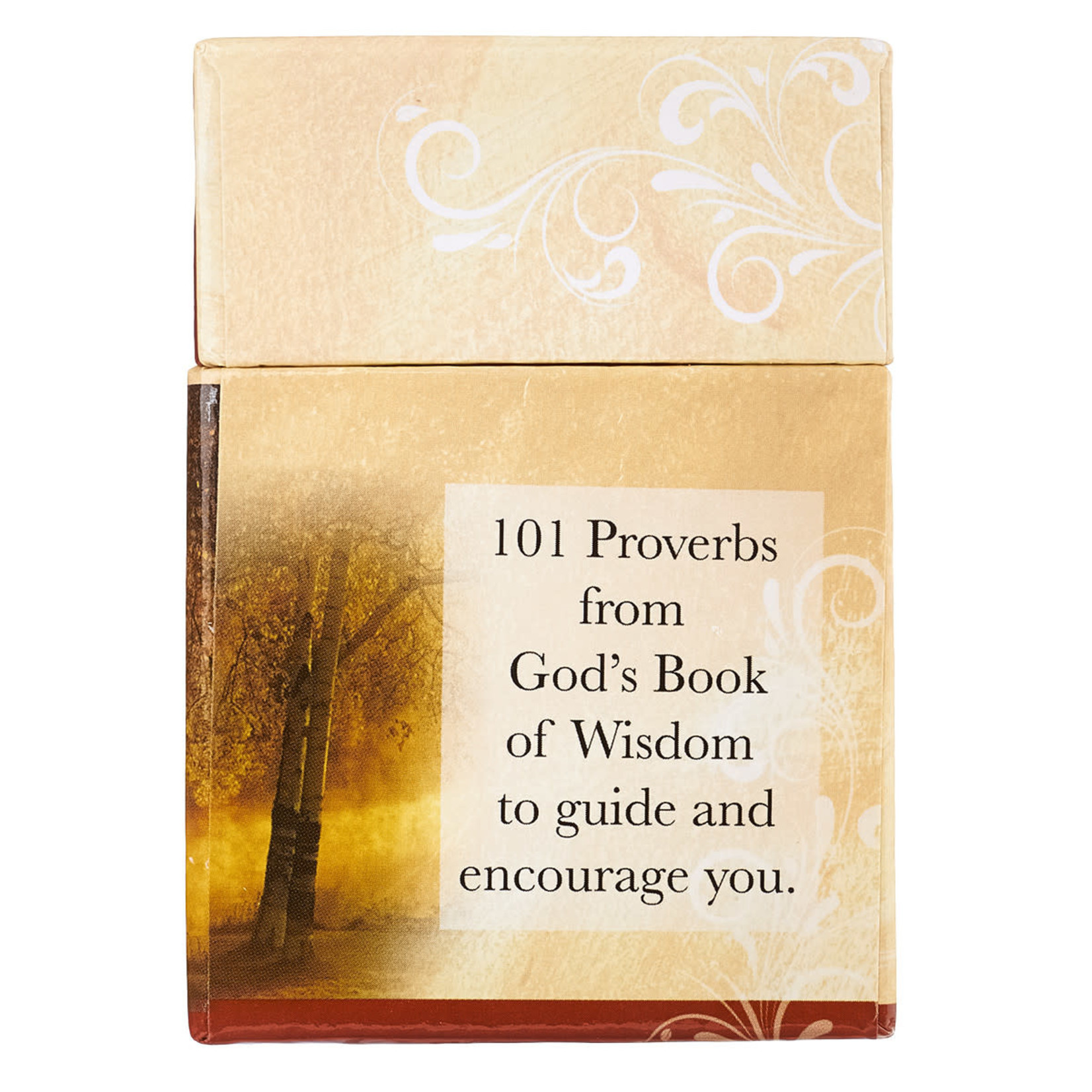 Christian Art Gifts 101 Proverbs to Live By