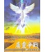 台北真理堂 Truth Lutheran Church 屬靈爭戰：30天禱告手冊