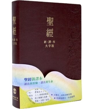 大字版- L23 Series - 天道北美網路書房U.S. Tien Dao Books