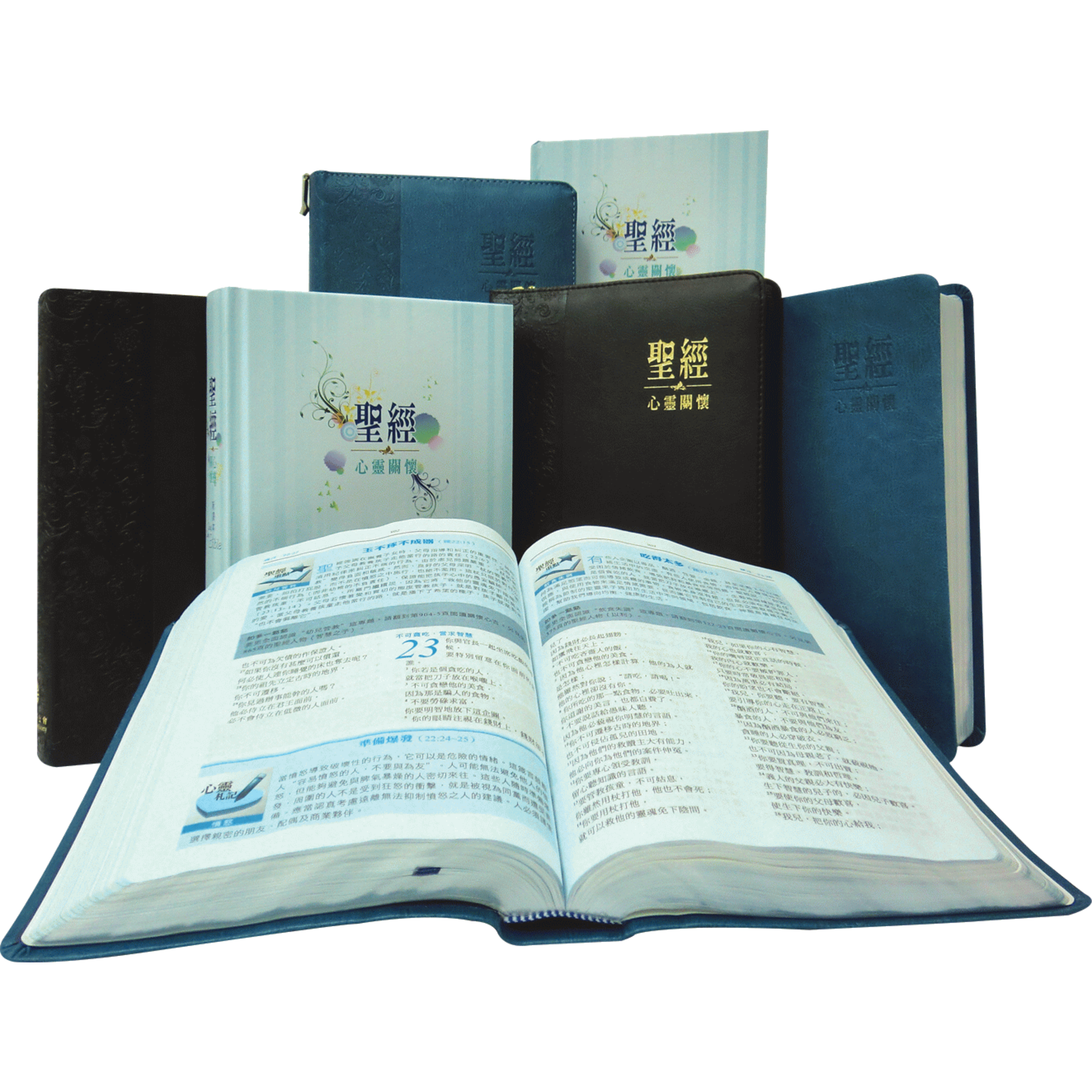 環球聖經公會 The Worldwide Bible Society 心靈關懷聖經・新譯本・彩色精裝白邊・簡體 CNV Soul Care Bible Simp., Standard, Color Hardback Cover, White Edge