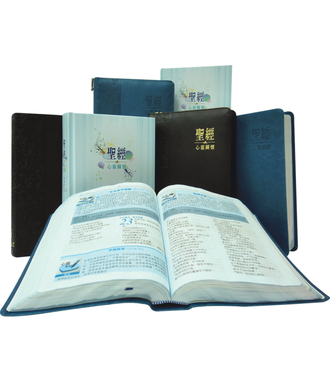 心靈關懷聖經・新譯本・彩色精裝白邊・繁體 CNV Soul Care Bible Trad., Standard, Color Hardback Cover , White Edge