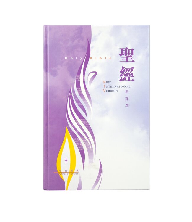 聖經新譯本／NIV．標準裝．彩色精裝白邊．繁體