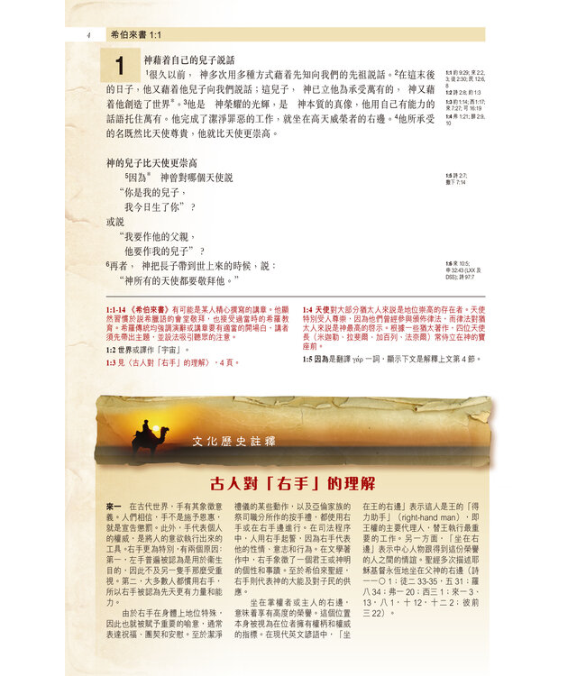 聖經・考古研讀版：大公書信及啟示錄 CCV Archaeological Study Bible - Catholic Epistles & Revelation