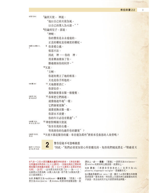 聖經・考古研讀版：大公書信及啟示錄 CCV Archaeological Study Bible - Catholic Epistles & Revelation