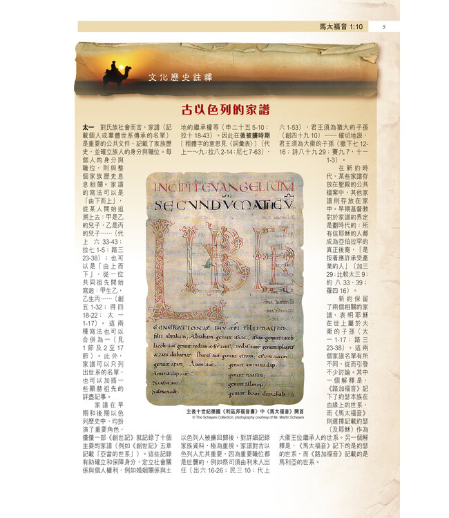 聖經．考古研讀版：福音書及使徒行傳（新漢語譯本經文） CCV Archaeological Study Bible - Gospel & Acts