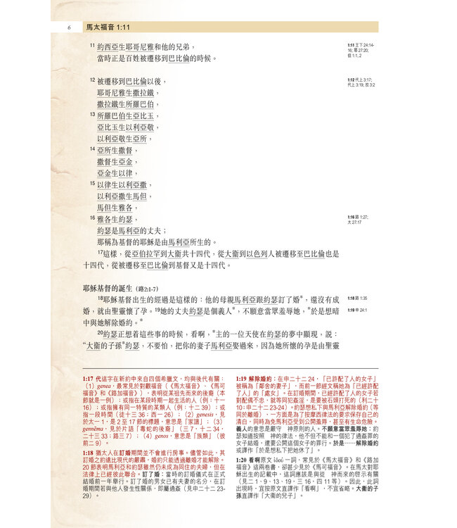 聖經．考古研讀版：福音書及使徒行傳（新漢語譯本經文） CCV Archaeological Study Bible - Gospel & Acts
