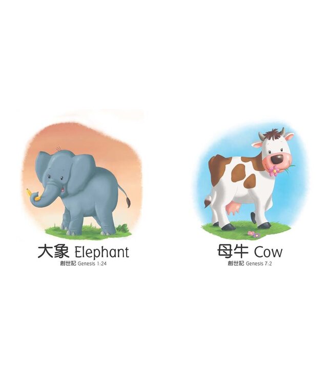 天父給我的禮物（一套四冊）（繁體） My Gift from God