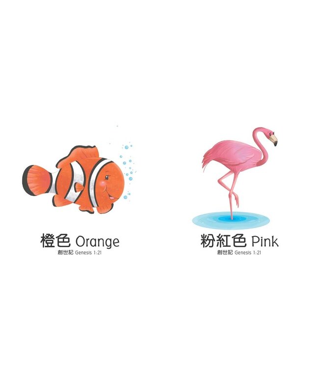 天父給我的禮物（一套四冊）（繁體） My Gift from God