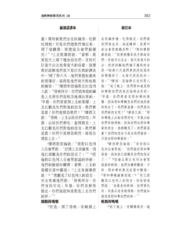 國際釋經應用系列2B：出埃及記（卷下）（繁體） NIV Application Commentary - Exodus Vol.2
