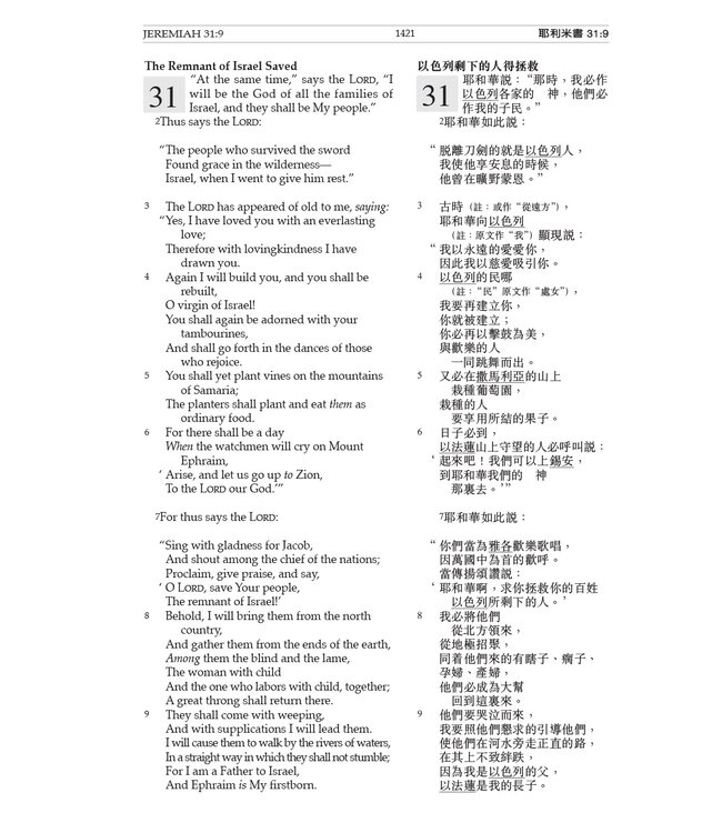 聖經．和合本／新英皇欽定本．中英聖經．黑色硬面．白邊．標準本 Holy Bible - Union Version / NKJV (Black Hardcover White Edge)