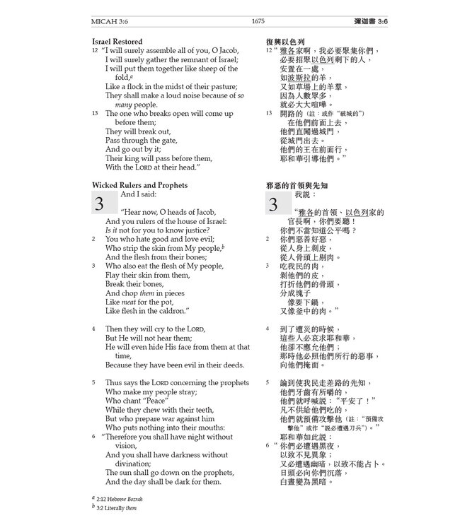 聖經．和合本／新英皇欽定本．中英聖經．黑色硬面．白邊．標準本 Holy Bible - Union Version / NKJV (Black Hardcover White Edge)