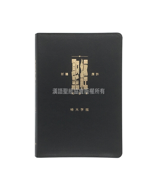 聖經．祈禱應許版．特大字版．黑色皮面．金邊．拇指版
