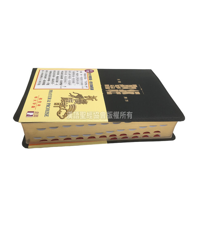 聖經．祈禱應許版．特大字版．黑色皮面．金邊．拇指版