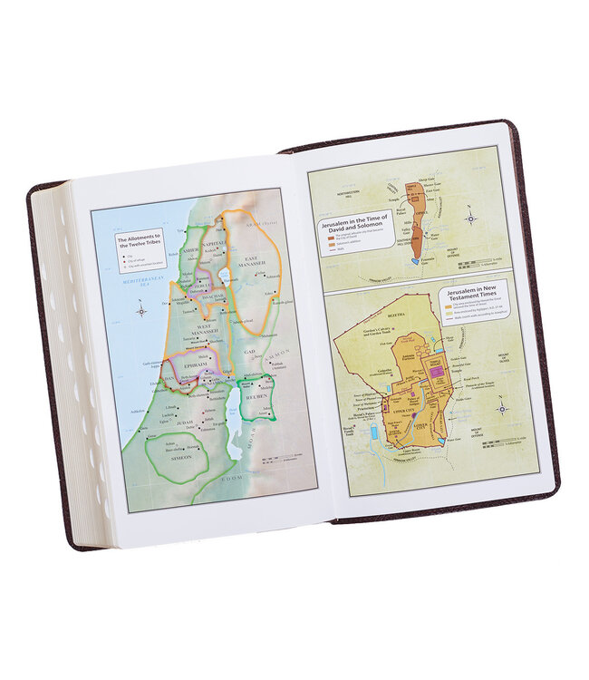 Dark Brown Faux Leather Giant Print King James Version Bible with Thumb Index