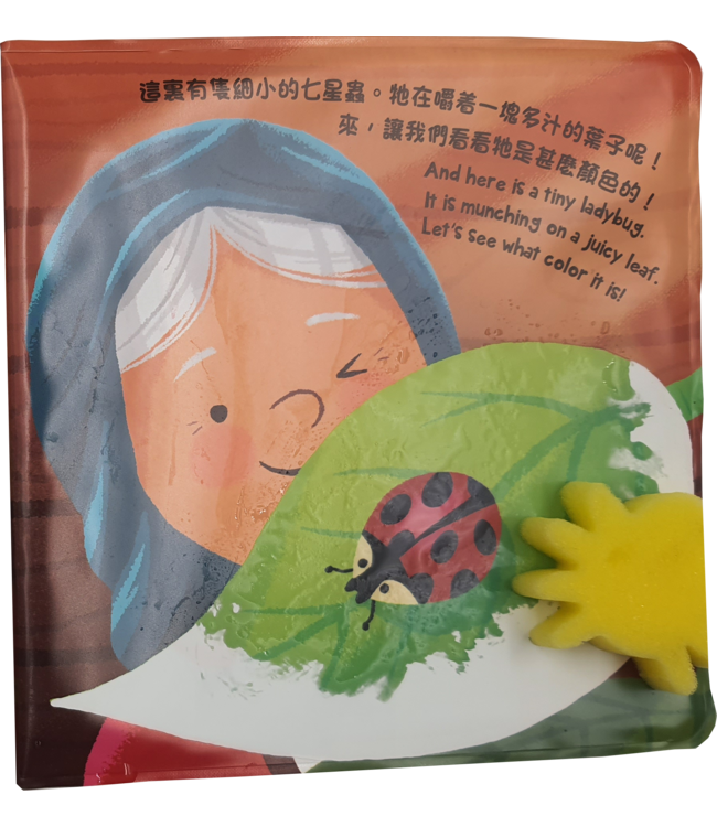 神奇水繪聖經：挪亞的方舟（附送美術小海綿一個，送完即止）