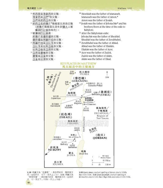 聖經．新普及譯本／NLT：新約全書（附詩箴） Holy Bible Chinese NLT/NLT - New Testament (with Psalms & Proverbs) (Paperback)