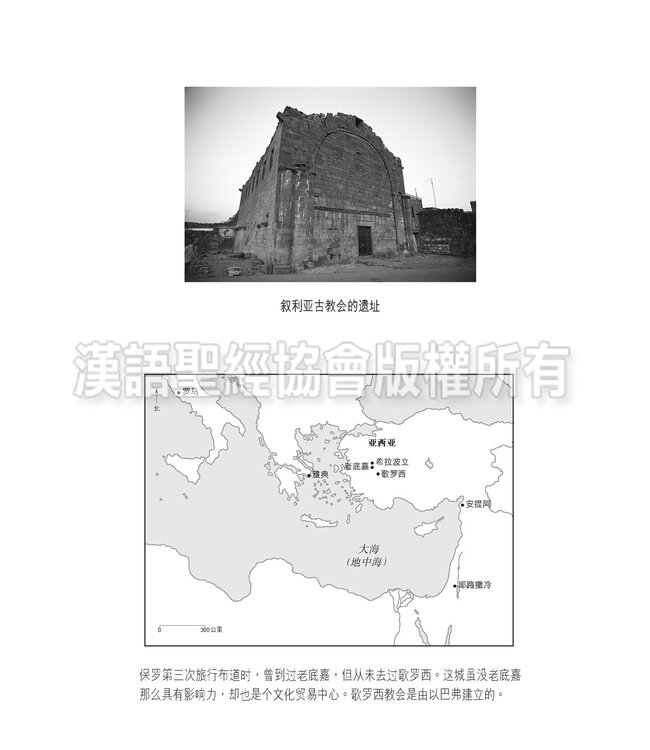 圣经．和合本．祈祷应许版．标准本．黑色硬面．白边