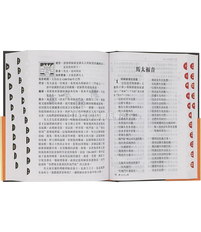 聖經．祈禱應許版．特大字版．硬面．白邊．拇指版