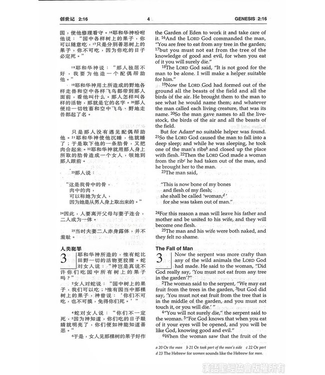 圣经．中英对照．和合本／NIV．黑色硬面．白边．轻便本 Union Version / NIV (Black Hardcover White Edge)