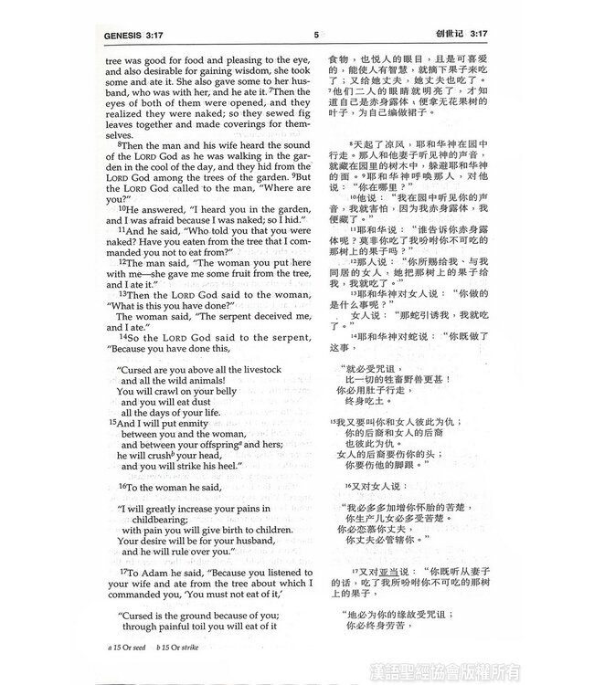 圣经．中英对照．和合本／NIV．黑色硬面．白边．轻便本 Union Version / NIV (Black Hardcover White Edge)