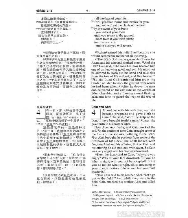 圣经．中英对照．和合本／NIV．黑色硬面．白边．轻便本 Union Version / NIV (Black Hardcover White Edge)