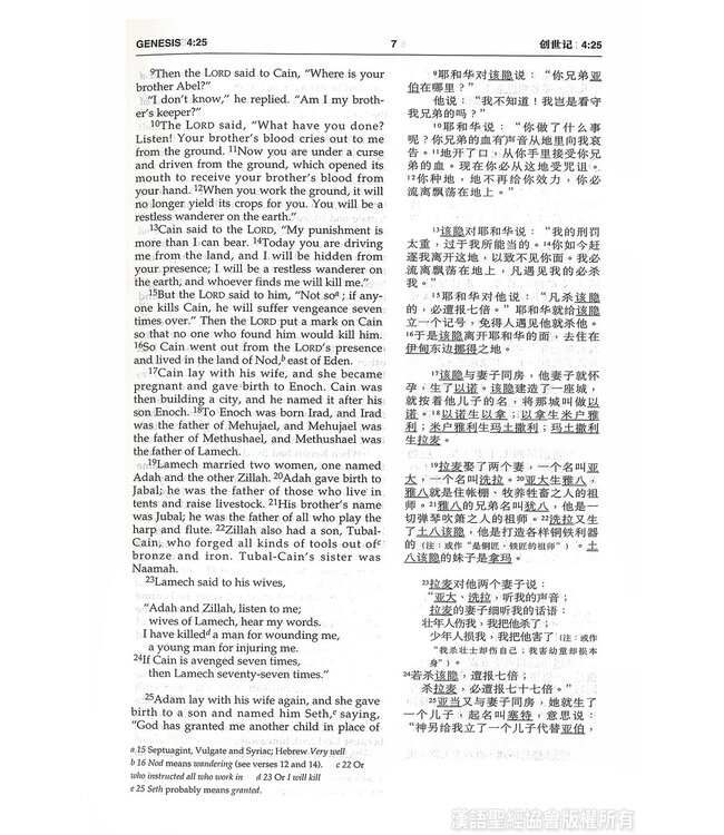 圣经．中英对照．和合本／NIV．黑色硬面．白边．轻便本 Union Version / NIV (Black Hardcover White Edge)
