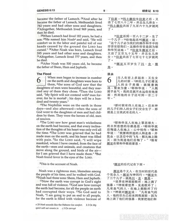 圣经．中英对照．和合本／NIV．黑色硬面．白边．轻便本 Union Version / NIV (Black Hardcover White Edge)