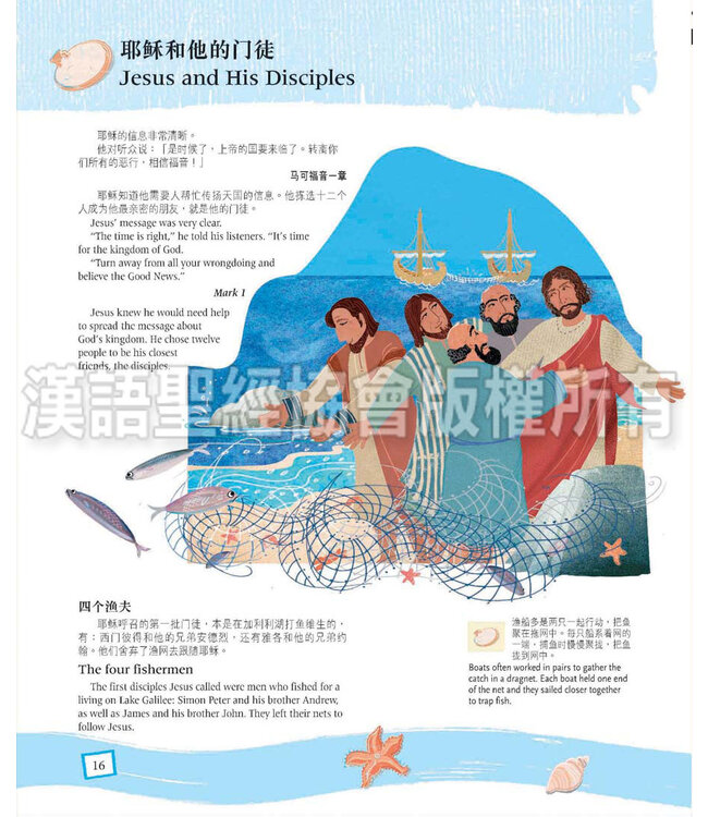 耶稣是谁？（简体中文／英文） Who is Jesus? Simplified Chinese/English, Hardback