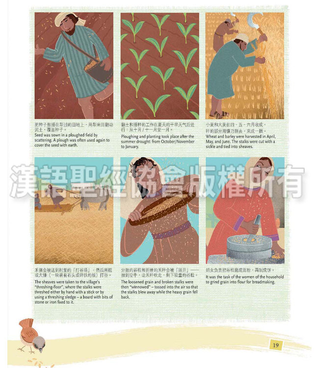 耶稣是谁？（简体中文／英文） Who is Jesus? Simplified Chinese/English, Hardback