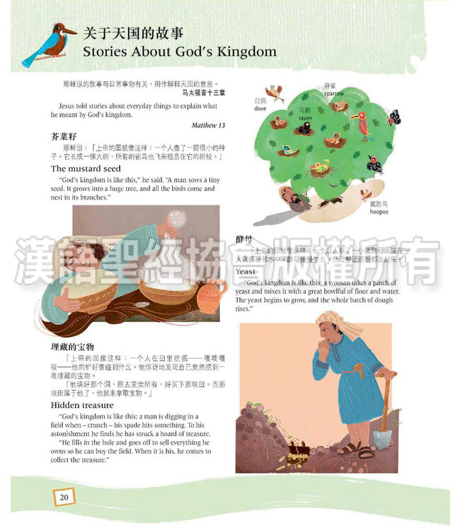 耶稣是谁？（简体中文／英文） Who is Jesus? Simplified Chinese/English, Hardback