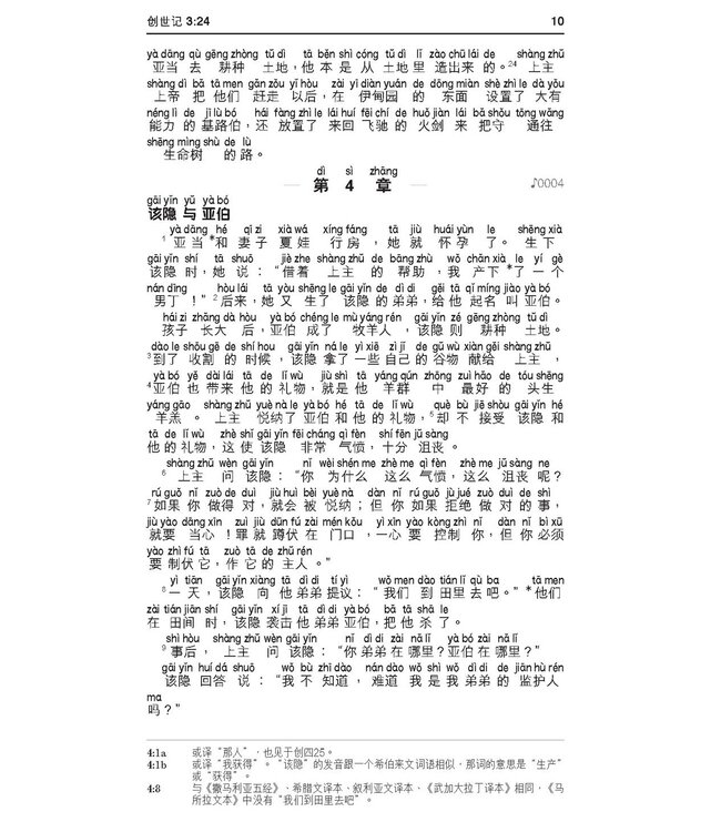 圣经．新普及译本汉语拼音版．啡色仿皮面银边．简体