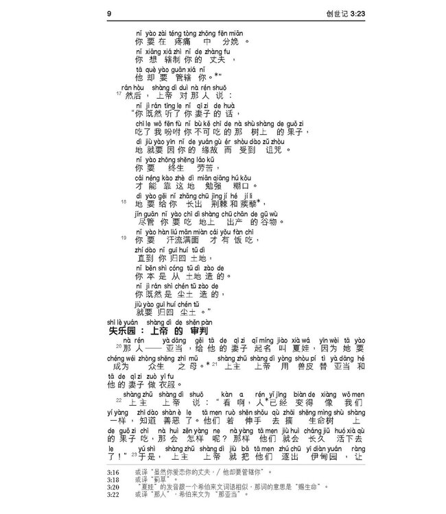 圣经．新普及译本．连CD．啡色仿皮面．金边（简体）