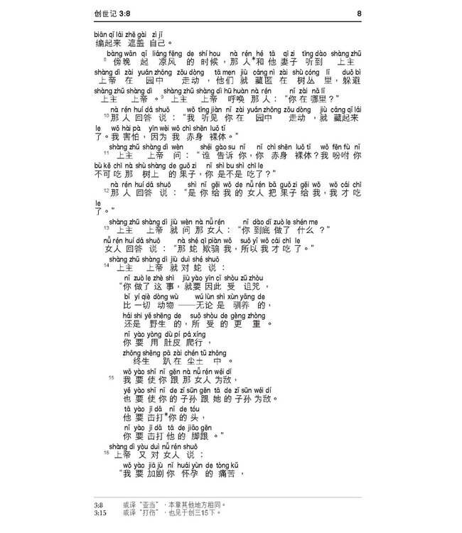 圣经．新普及译本汉语拼音版．啡色仿皮面银边．简体
