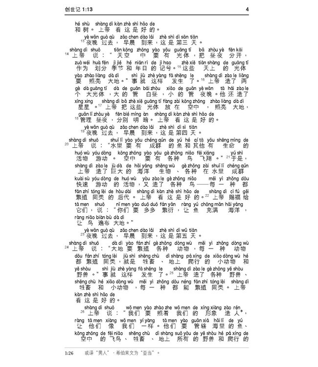 圣经．新普及译本．连CD．啡色仿皮面．金边（简体）