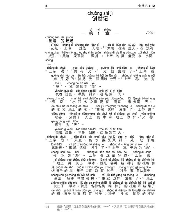 圣经．新普及译本汉语拼音版．啡色仿皮面银边．简体