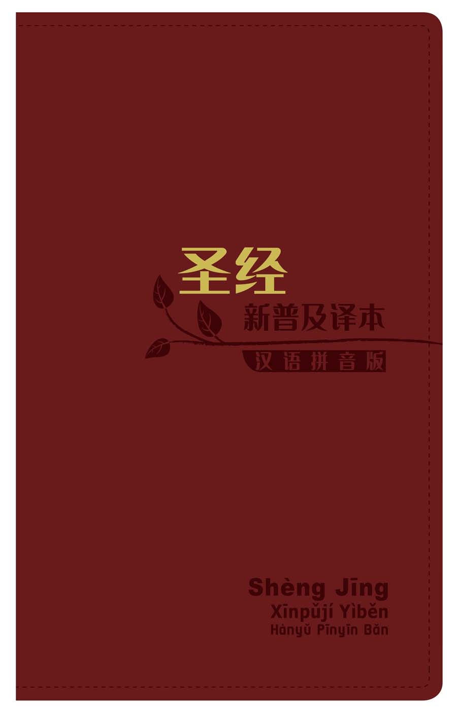 圣经．新普及译本．连CD．啡色仿皮面．金边（简体） - 天道北美網路