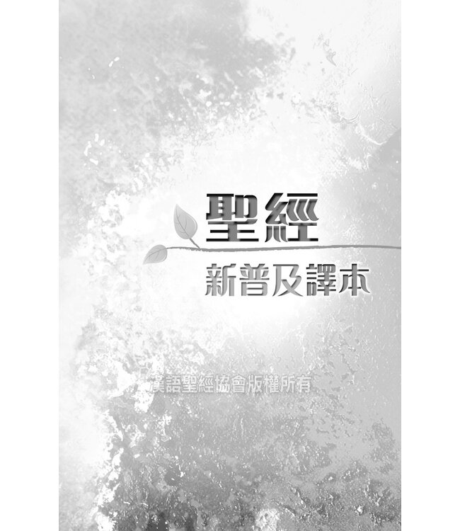 聖經．新普及譯本．青色仿皮面．銀邊（繁體）