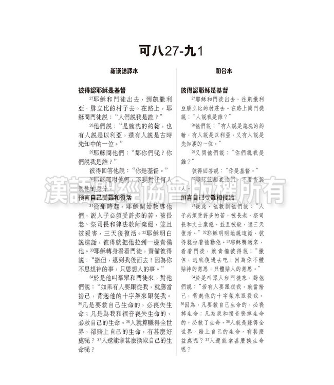 國際釋經應用系列41B：馬可福音（卷下）（繁體） NIV Application Commentary - Mark Vol.2 (Paperback)