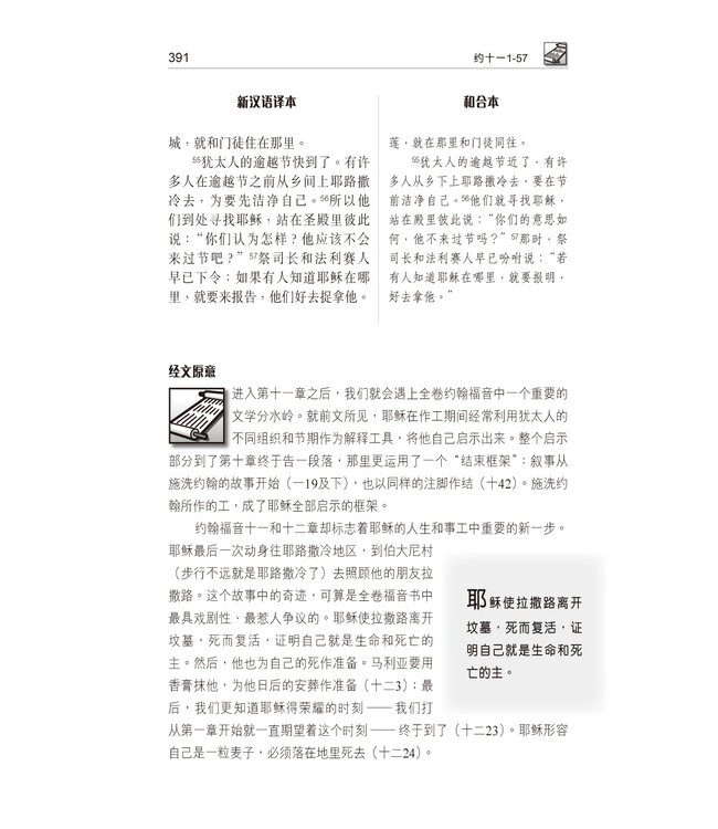 國際釋經應用系列43B：約翰福音（卷下）（簡體） The NIV Application Commentary - John (Paperback)