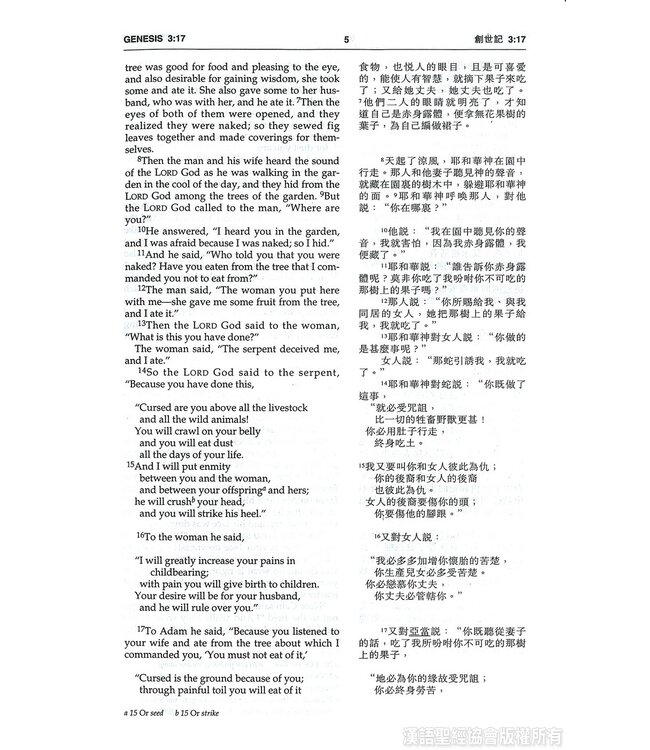 聖經．中英對照．和合本／NIV．輕便本．紫色硬面．白邊 Union Version / NIV (Purple Hardcover White Edge)