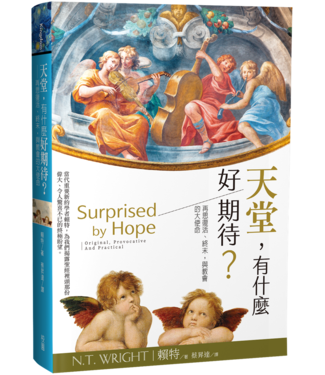 台灣校園書房 Campus Books 天堂，有什麼好期待?：再思復活、終末，與教會的大使命