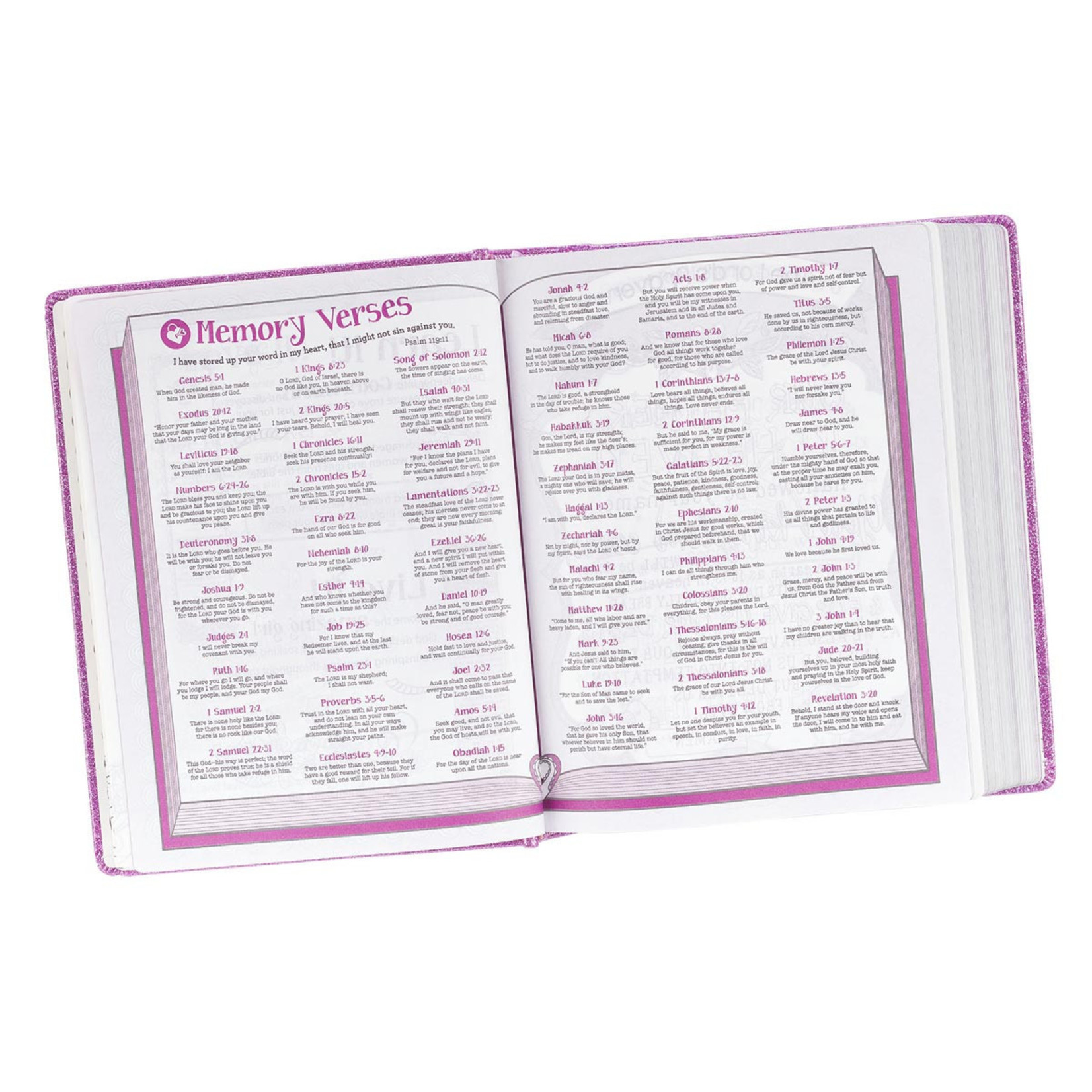purple esv bible