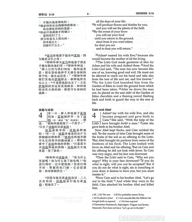 中英圣经和合本．袖珍本．黑色仿皮面．金边．拉链 Union Version / NIV (Black Leather Zipper Gilt Edge)