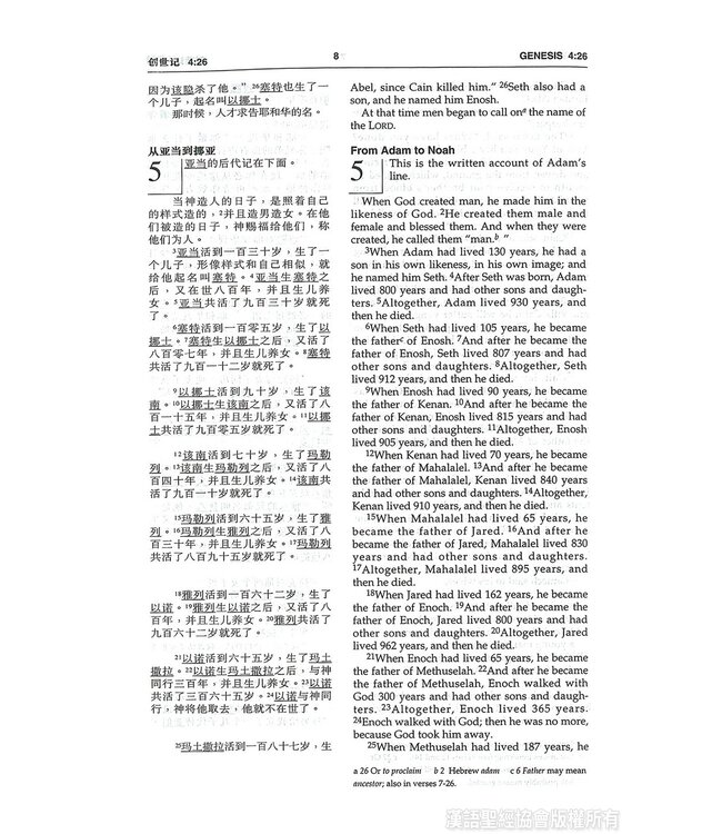 中英圣经和合本．袖珍本．黑色仿皮面．金边．拉链 Union Version / NIV (Black Leather Zipper Gilt Edge)