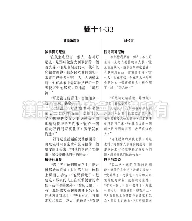 國際釋經應用系列44B：使徒行傳（卷下）（繁體） The NIV Application Commentary 44B - Acts (Paperback)